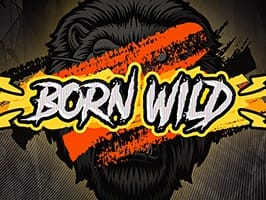 Born Wild game screenshot